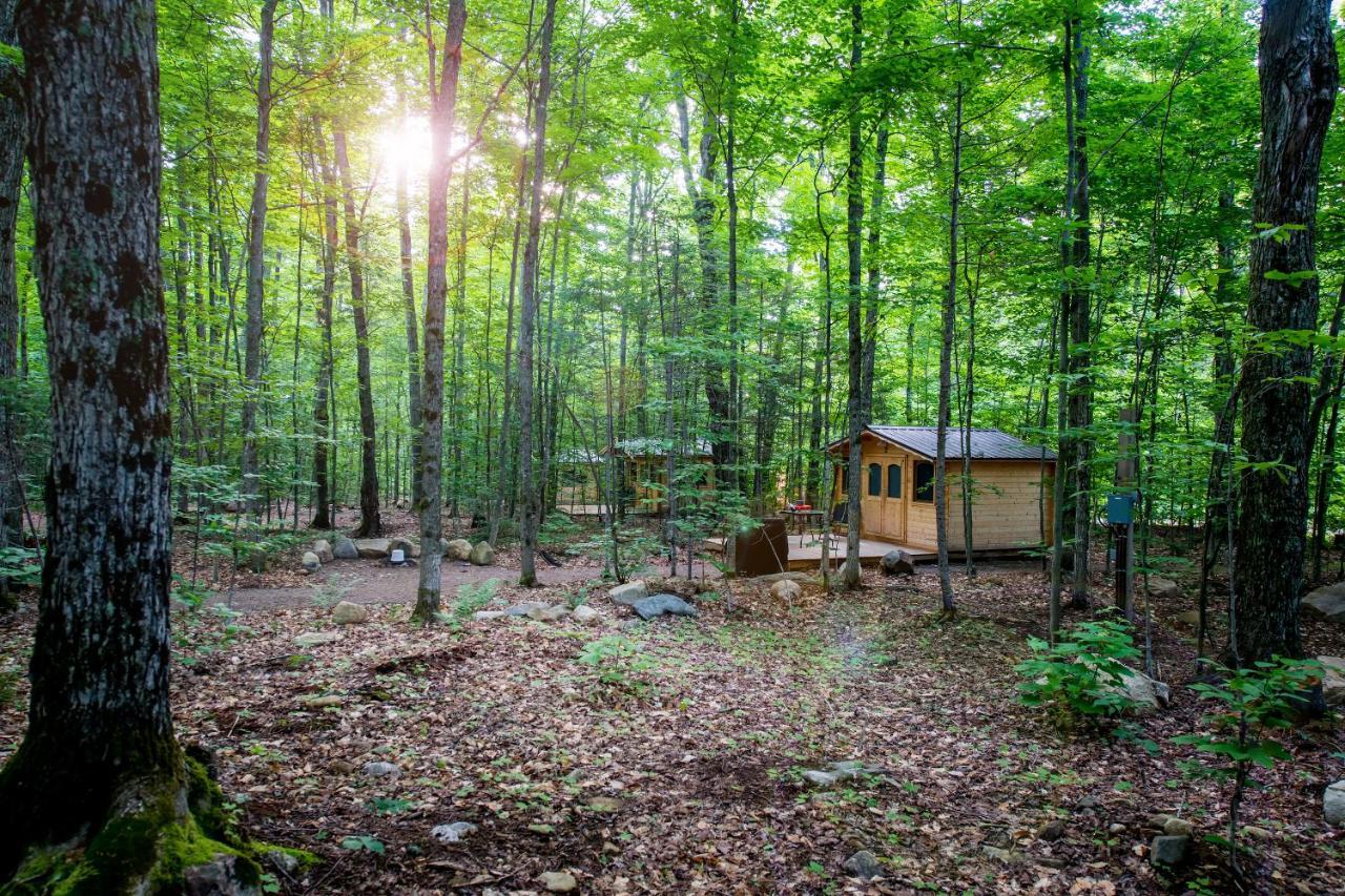 Madawaska Lodge-Cottage Kültér fotó