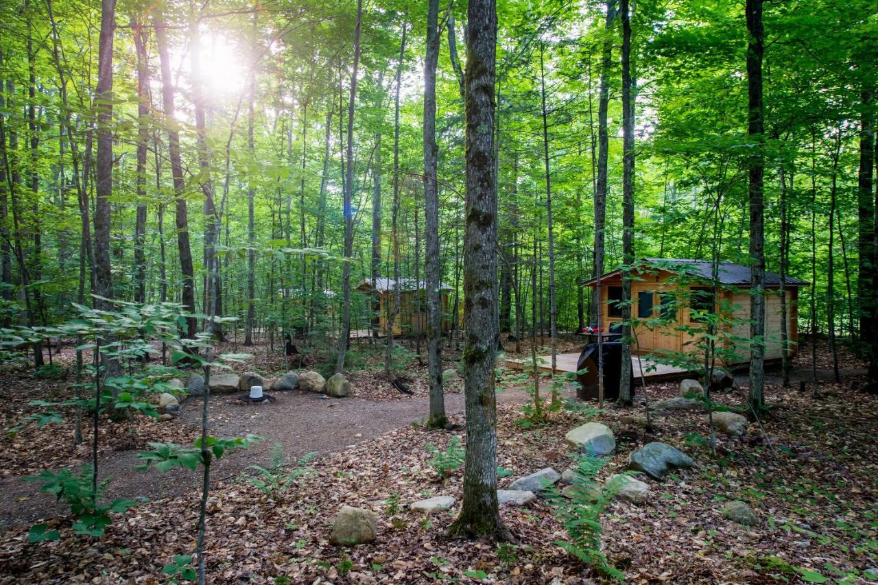 Madawaska Lodge-Cottage Kültér fotó