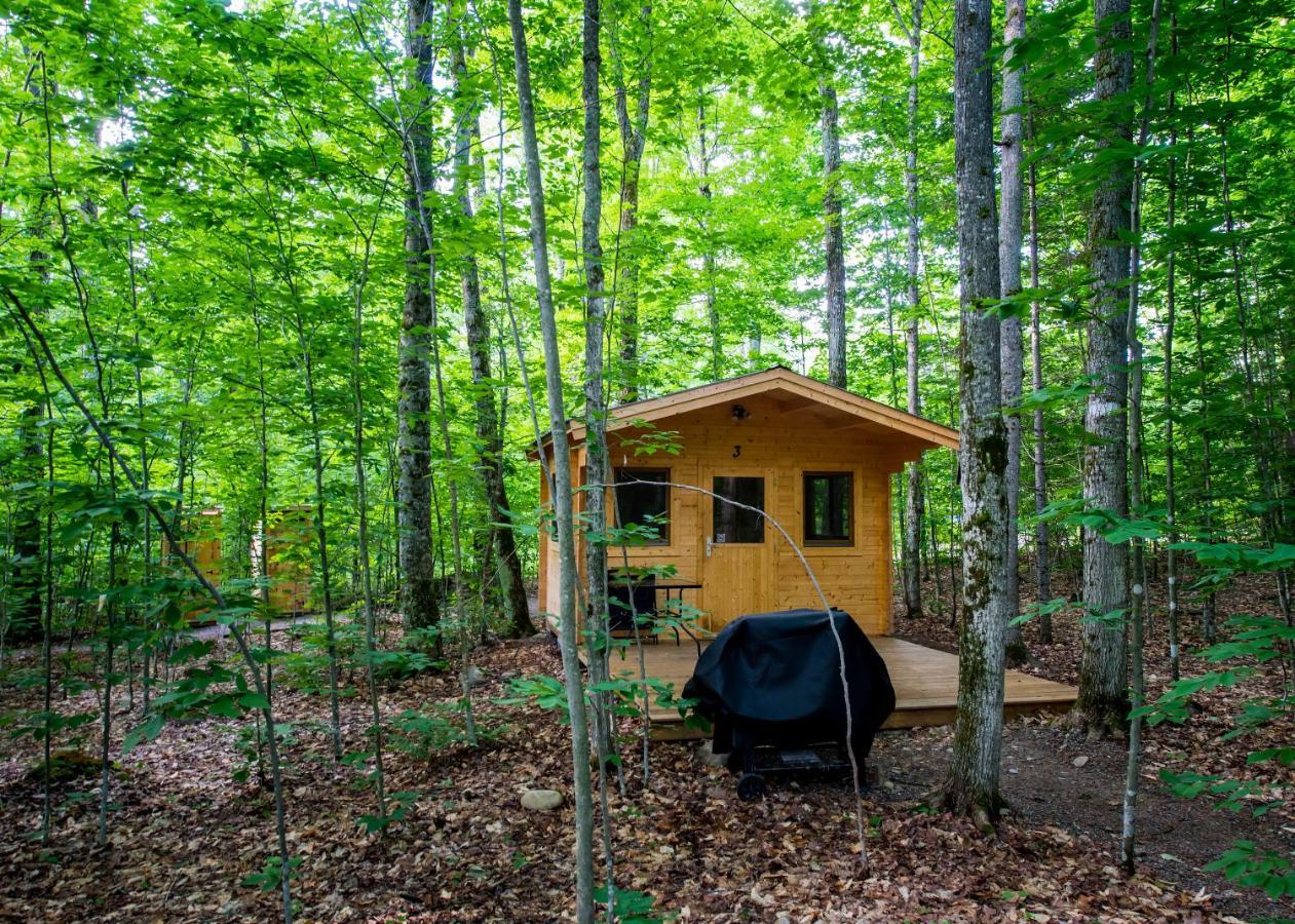 Madawaska Lodge-Cottage Kültér fotó