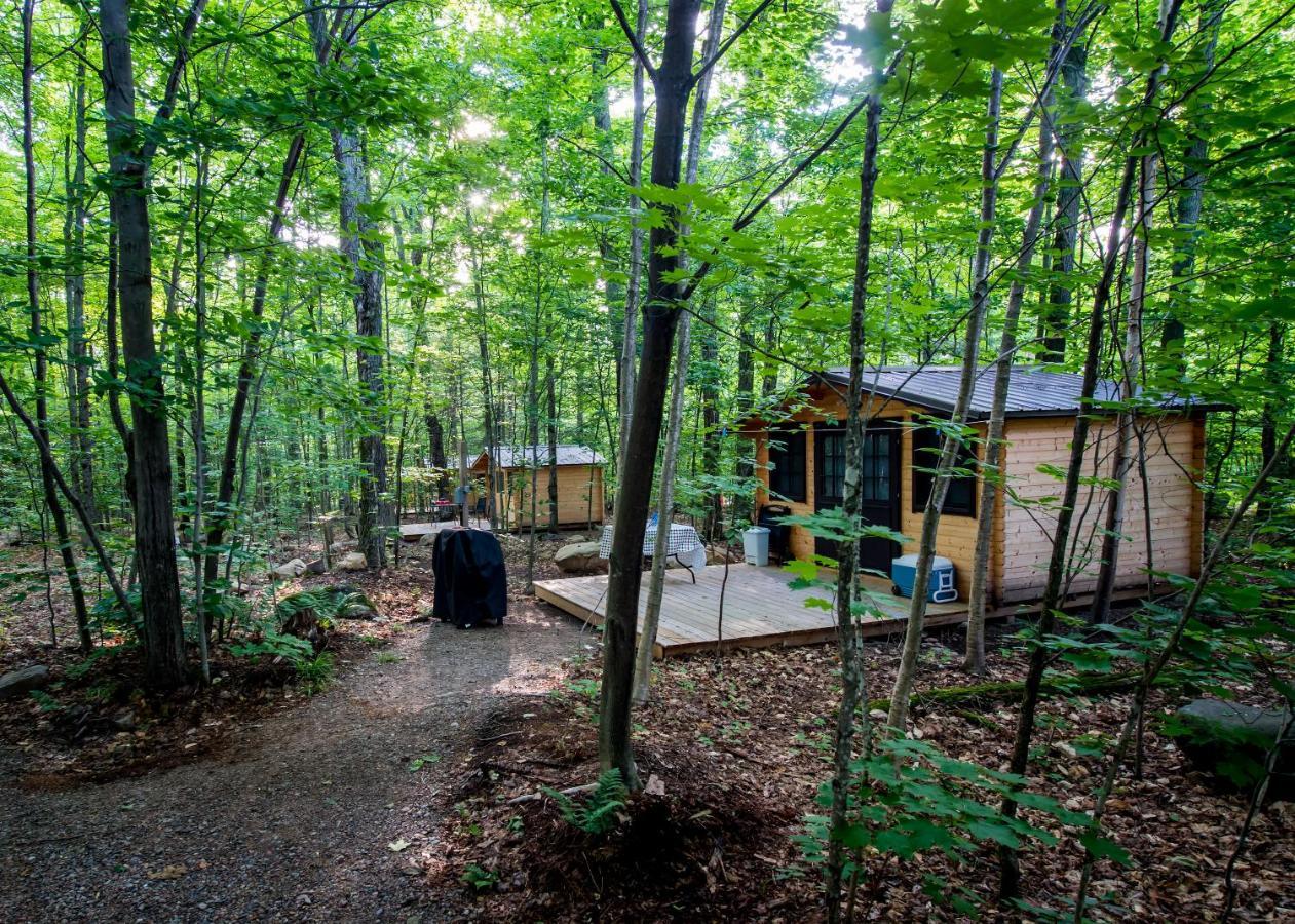 Madawaska Lodge-Cottage Kültér fotó